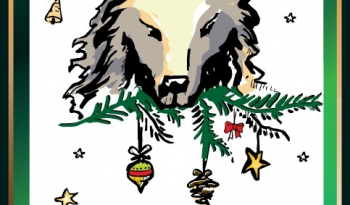 Merry Christmas from Scientific Research and International Cooperation Division