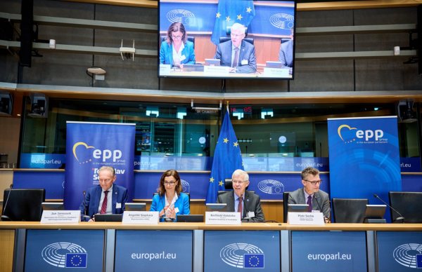 IPCZD w Parlamencie Europejskim